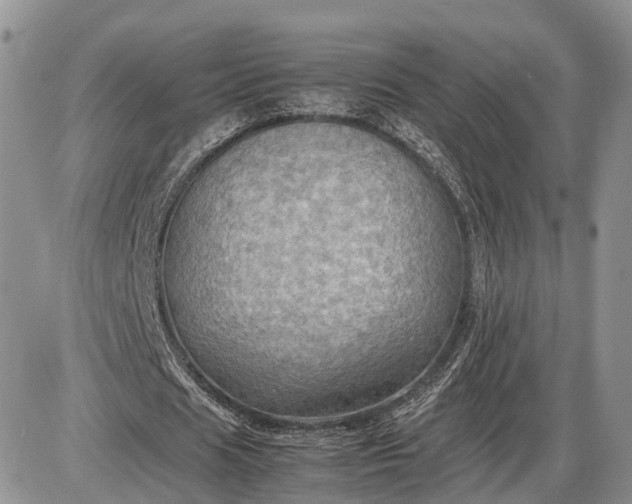 X0000085010625200703191116