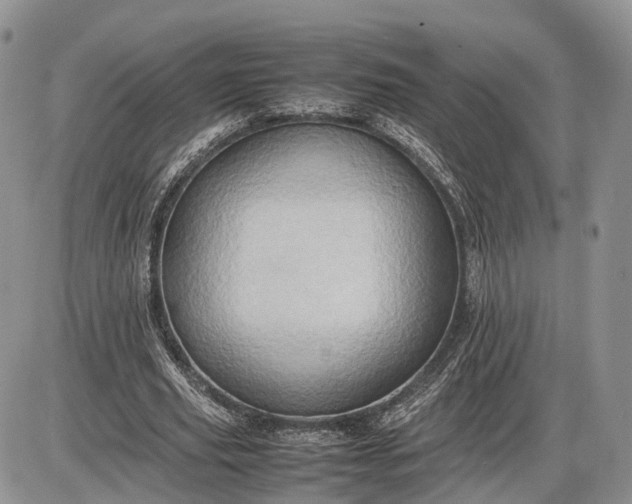 X0000085010629200703191116