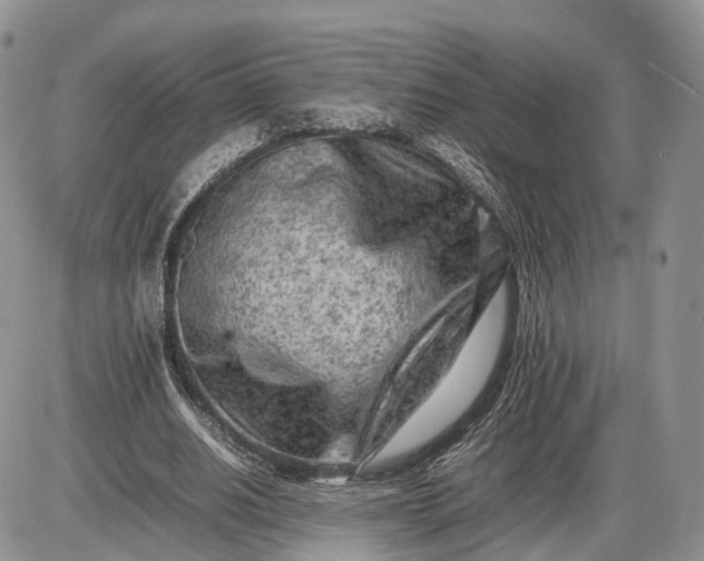 X0000085010630200703191116
