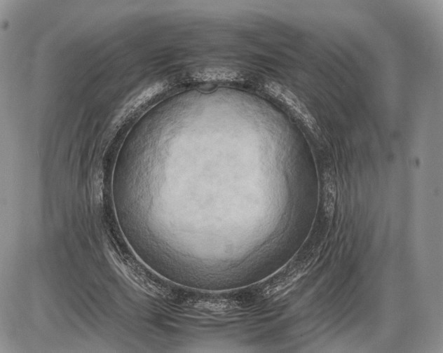 X0000085010631200703191116