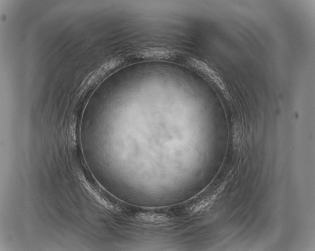 X0000085010633200703191116
