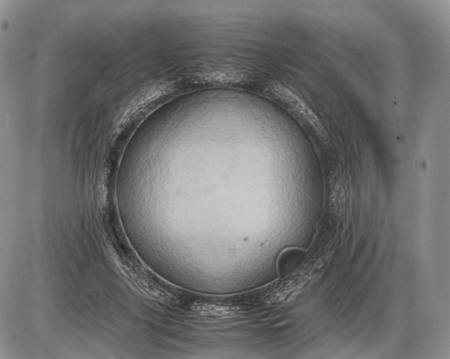 X0000085010635200703191116