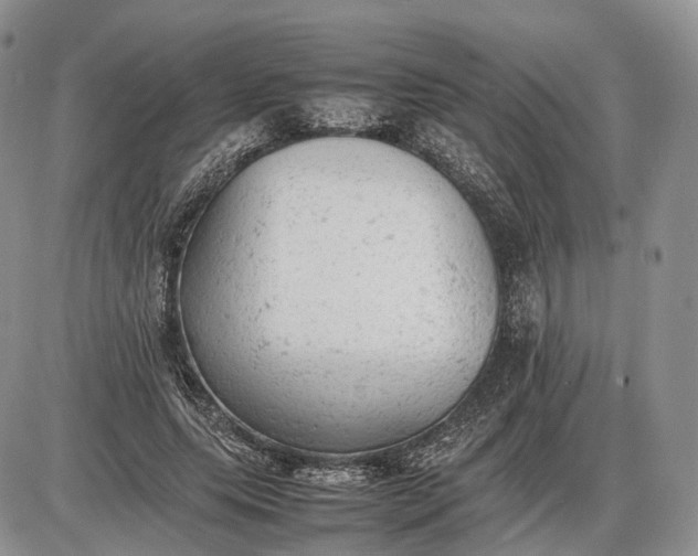 X0000085010639200703191116