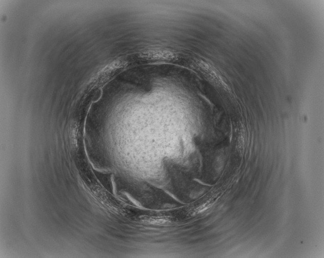 X0000085010643200703191116