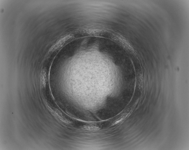 X0000085010644200703191116
