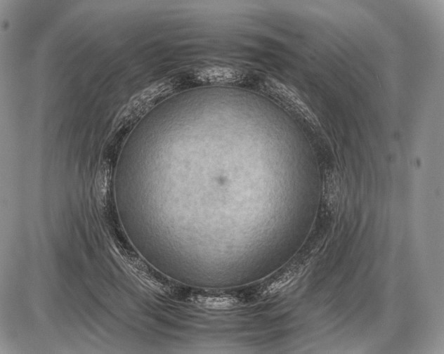 X0000085010645200703191116