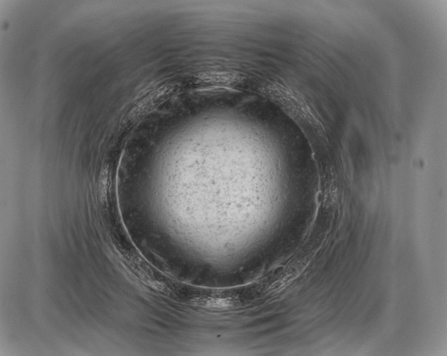 X0000085010647200703191116