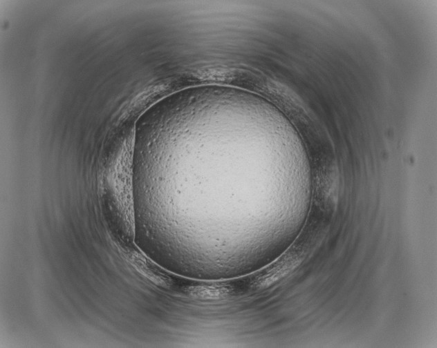 X0000085010652200703191117