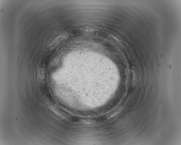X0000085010654200703191117
