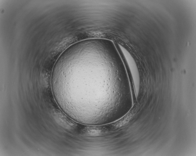 X0000085010658200703191117
