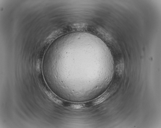 X0000085010662200703191117