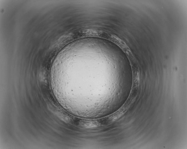 X0000085010663200703191117