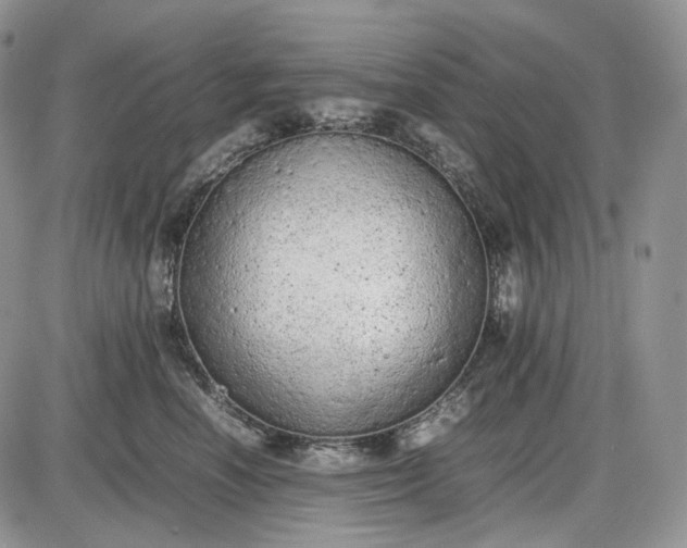 X0000085010666200703191117