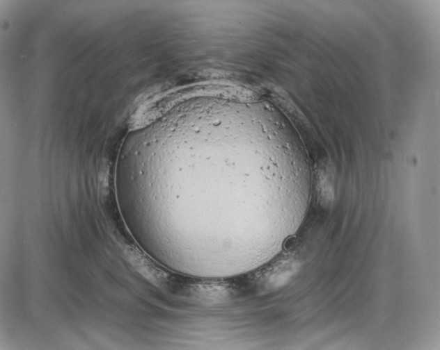 X0000085010668200703191117
