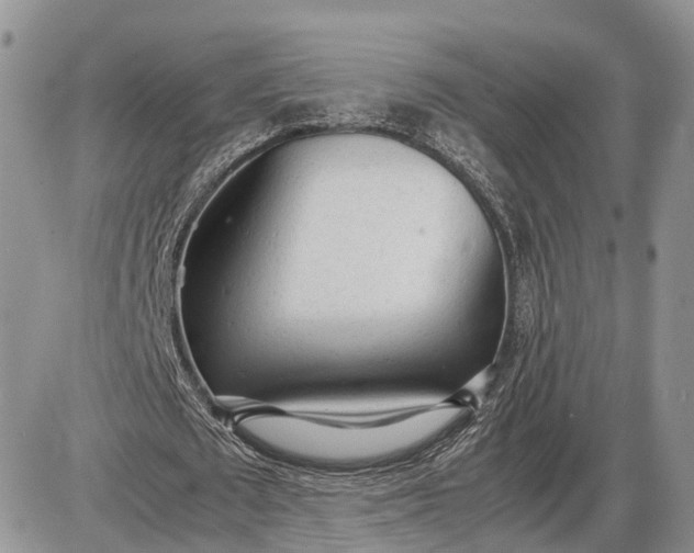 X0000085010673200703191116