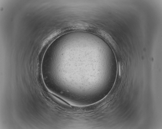 X0000085010675200703191116