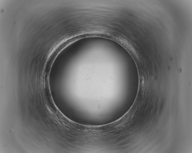 X0000085010676200703191116