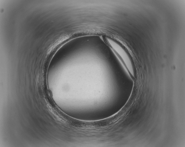 X0000085010677200703191116