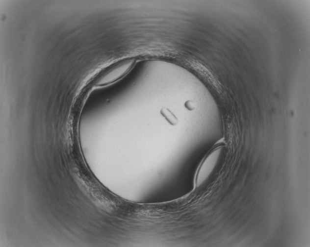 X0000085010680200703191116