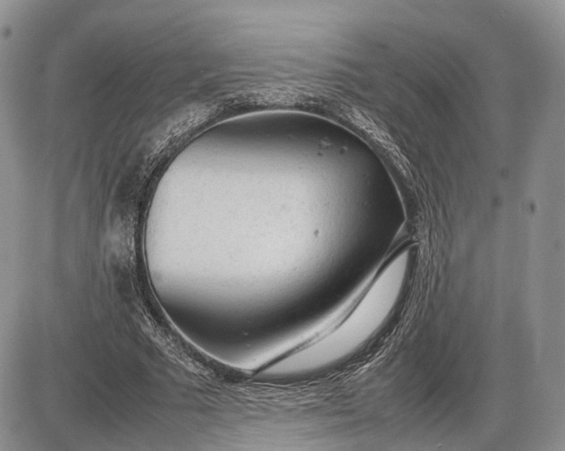 X0000085010681200703191116