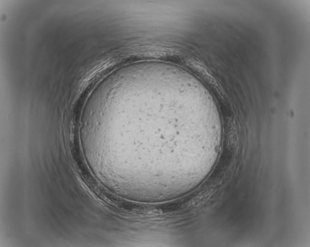 X0000085010683200703191116