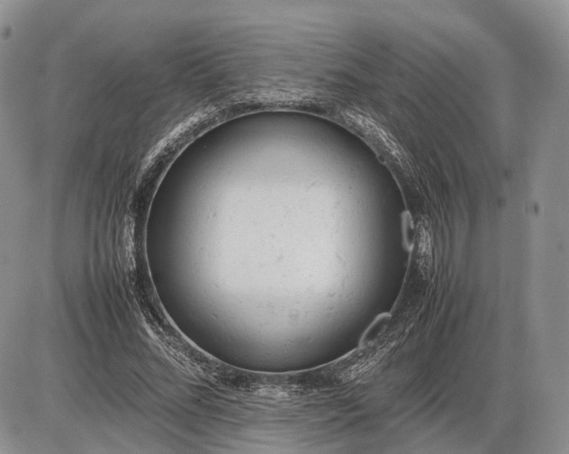 X0000085010684200703191116