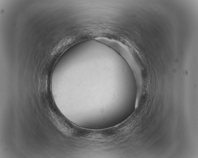 X0000085010685200703191116