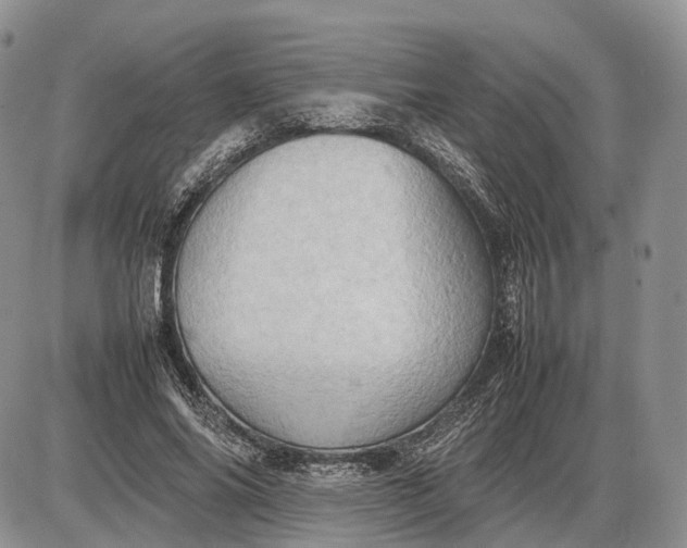 X0000085010686200703191116