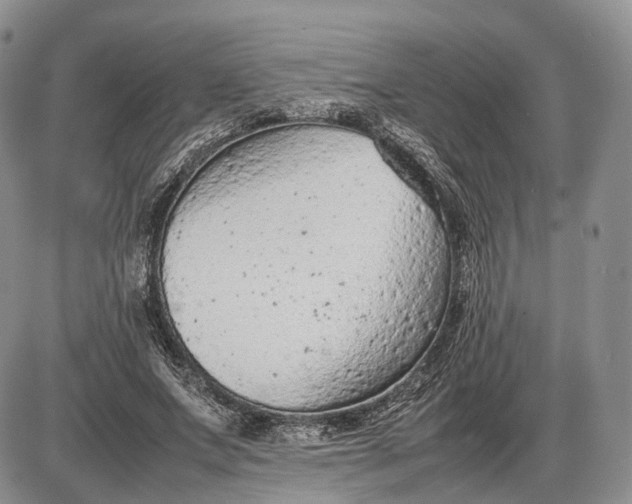 X0000085010687200703191116