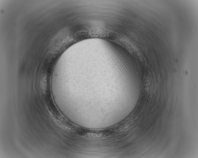 X0000085010690200703191116