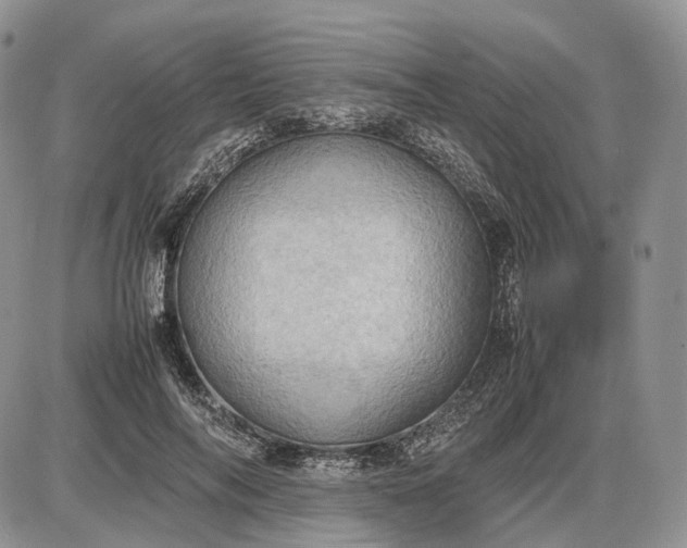 X0000085010694200703191116