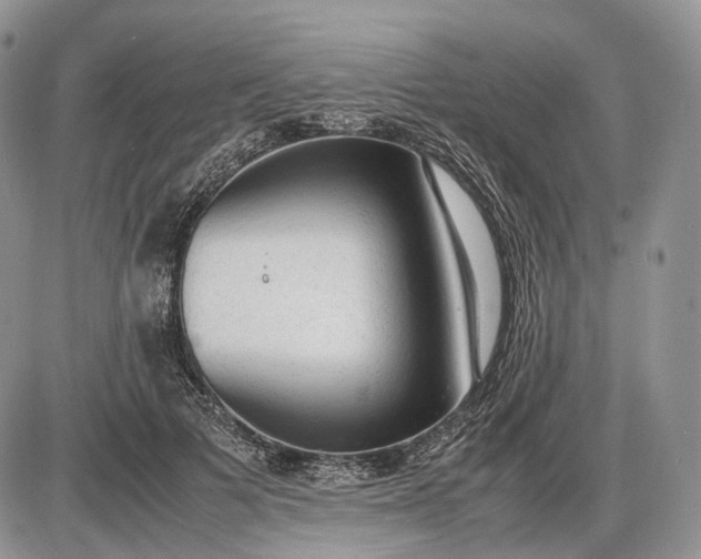 X0000085010697200703191116