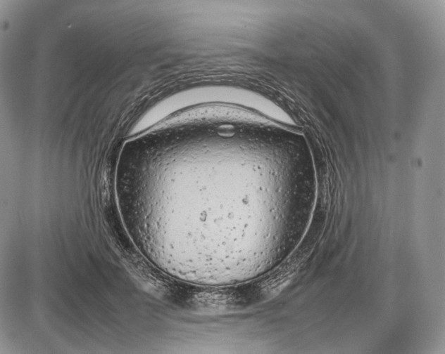 X0000085010699200703191116