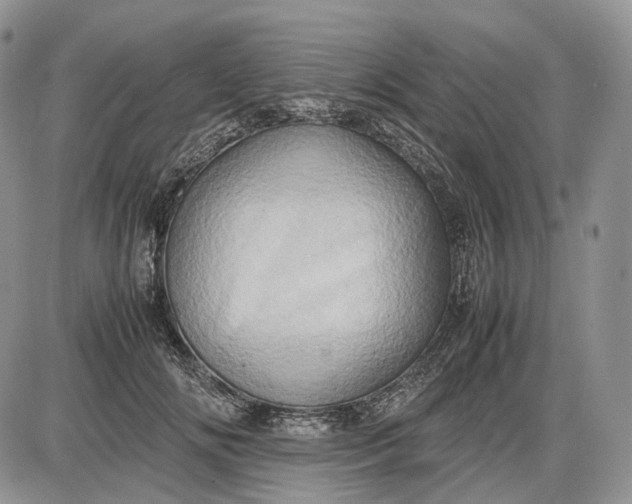X0000085010702200703191116