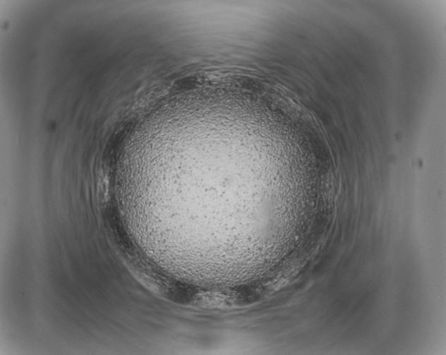 X0000085010703200703191116