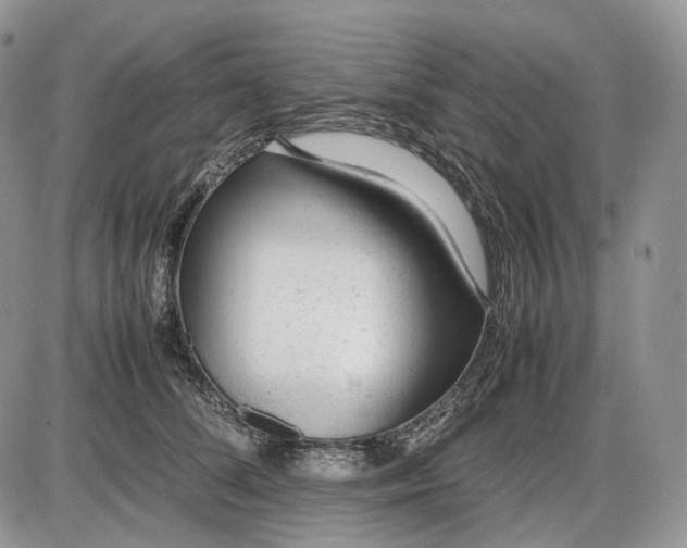 X0000085010708200703191115