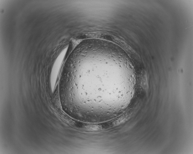 X0000085010711200703191115
