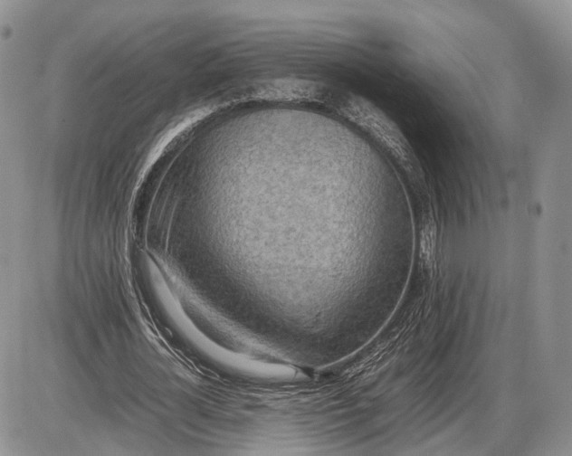 X0000085010724200703191115
