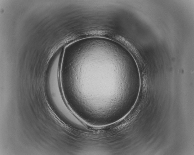 X0000085010725200703191115