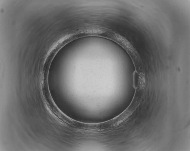 X0000085010726200703191115