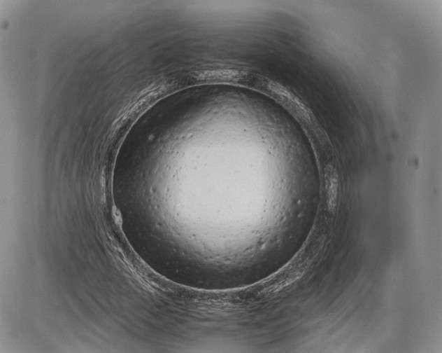 X0000085010729200703191115
