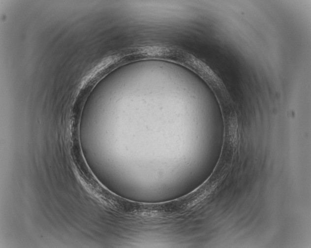 X0000085010730200703191115