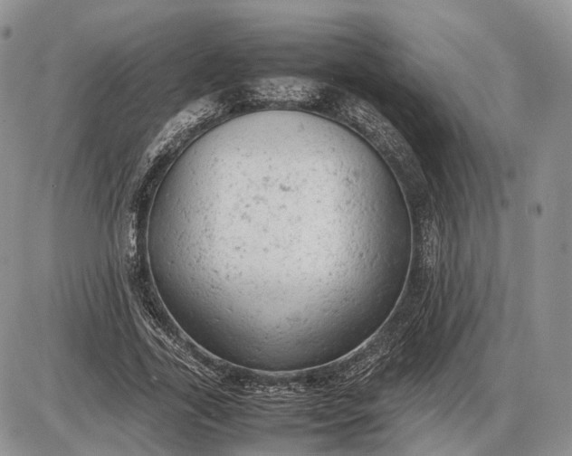 X0000085010731200703191115