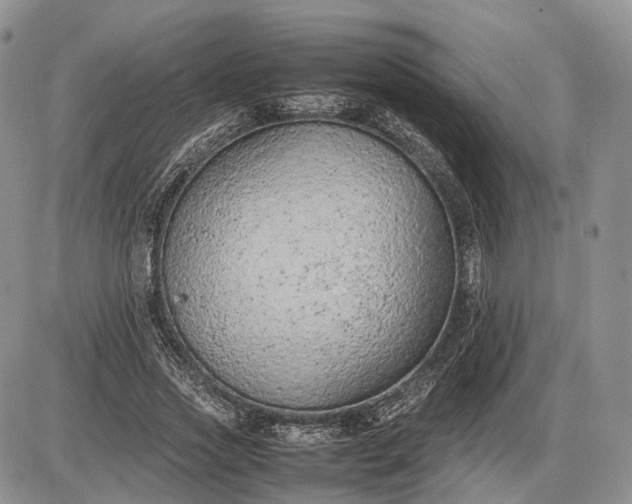 X0000085010733200703191115