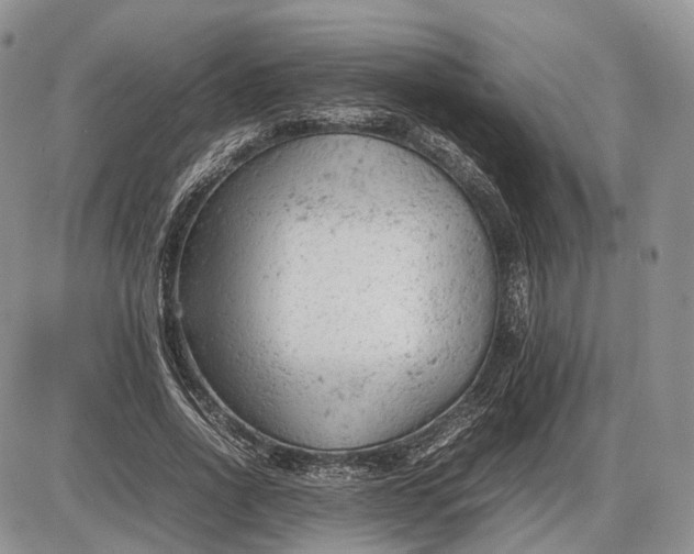 X0000085010734200703191115