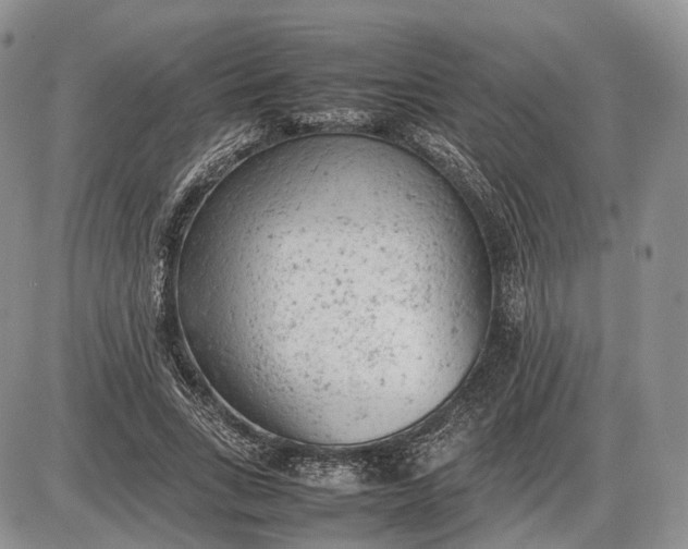 X0000085010735200703191115