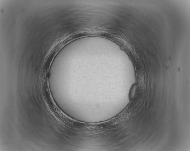 X0000085010736200703191115
