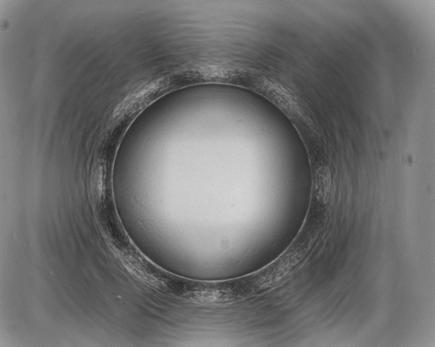X0000085010740200703191115