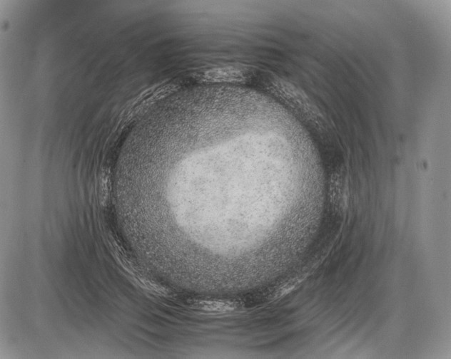 X0000085010741200703191115