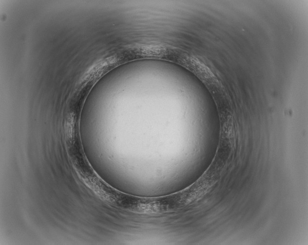 X0000085010744200703191115